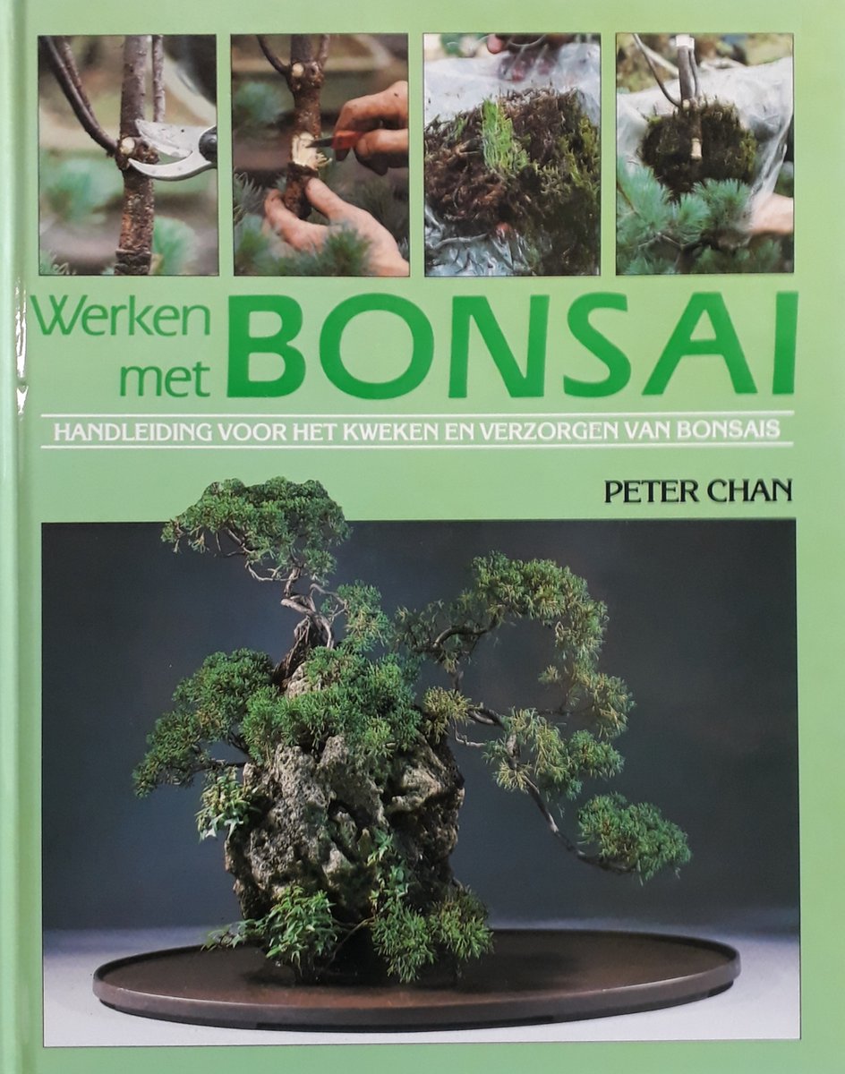 WERKEN MET BONSAI