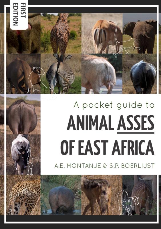 boekenbalie_9789082995725_cover A pocket guide to Animal Asses of East Africa