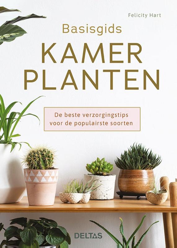 Basisgids kamerplanten