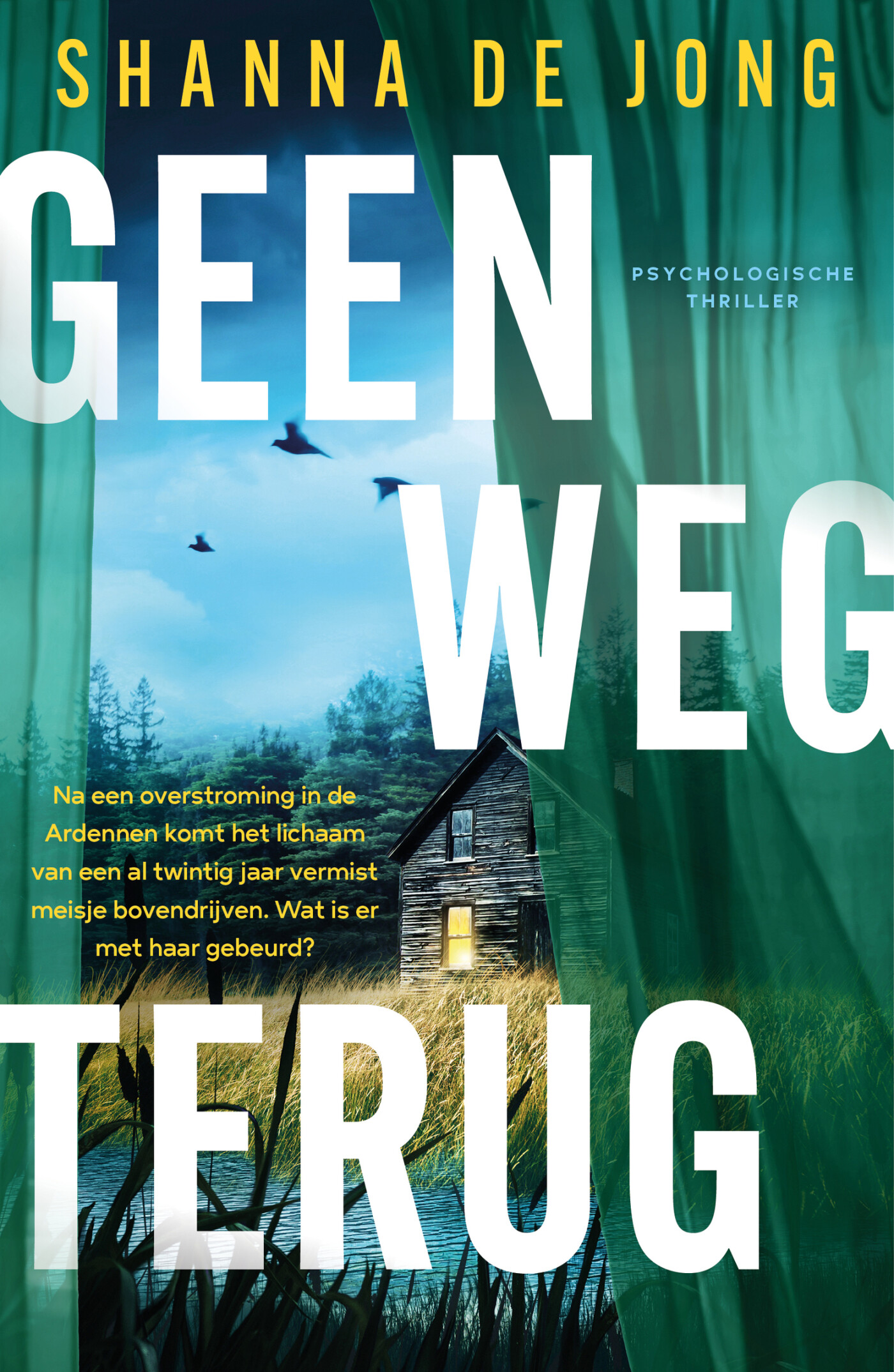 Geen weg terug