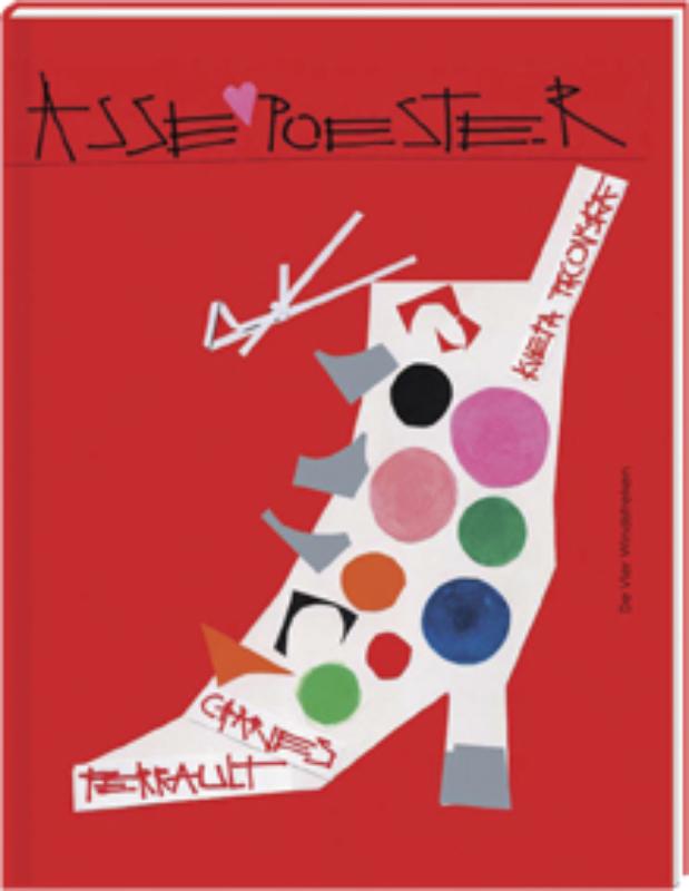 boekenbalie_9789051161564_cover Assepoester