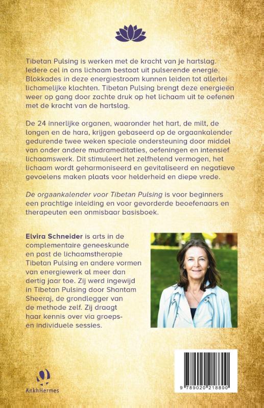 De orgaankalender voor Tibetan pulsing achterkant