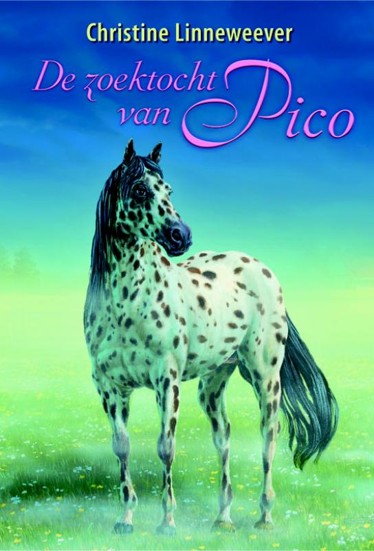 boekenbalie_9789020622225_cover De zoektocht van Pico / Gouden paarden