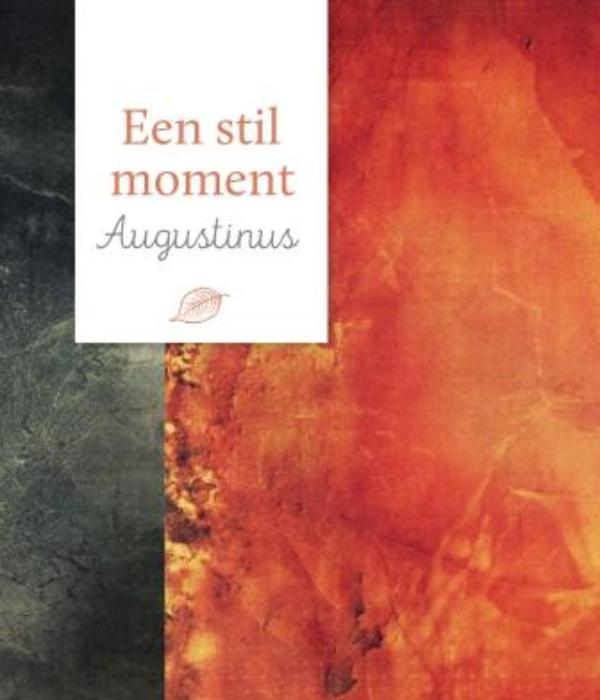 boekenbalie_9789043526432_cover Augustinus / Een stil moment