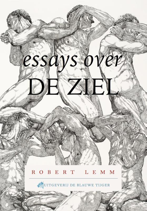 Blauwetijgerreeks 2 -   Essays over de ziel