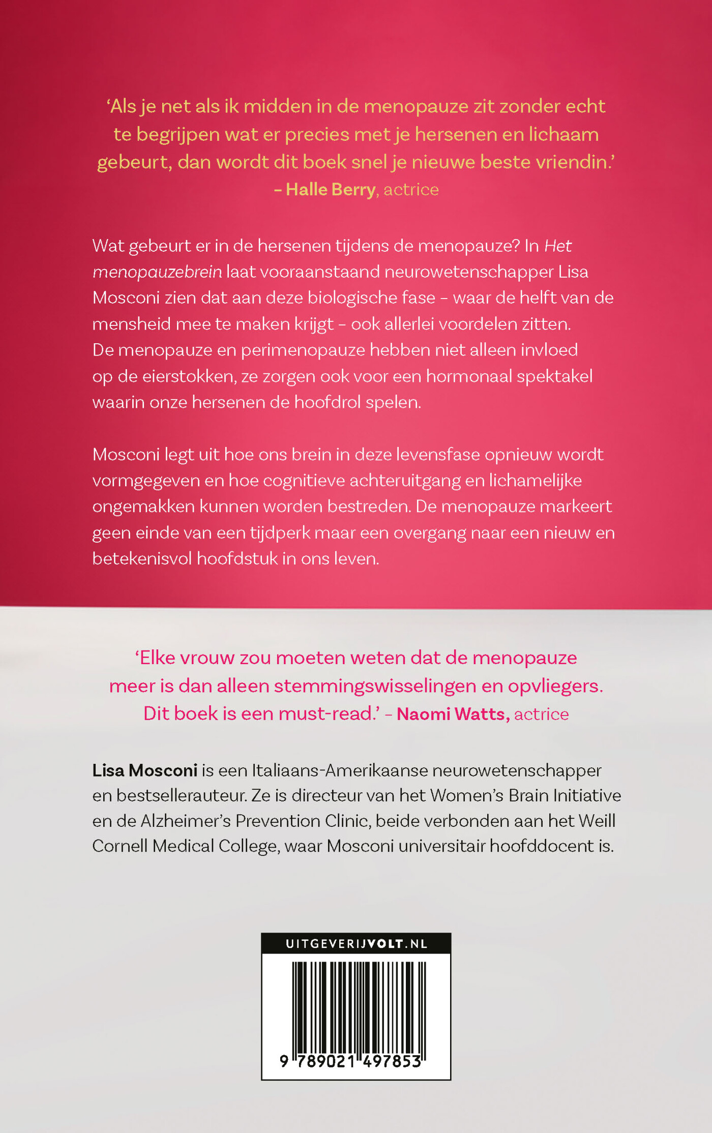 Het menopauzebrein achterkant