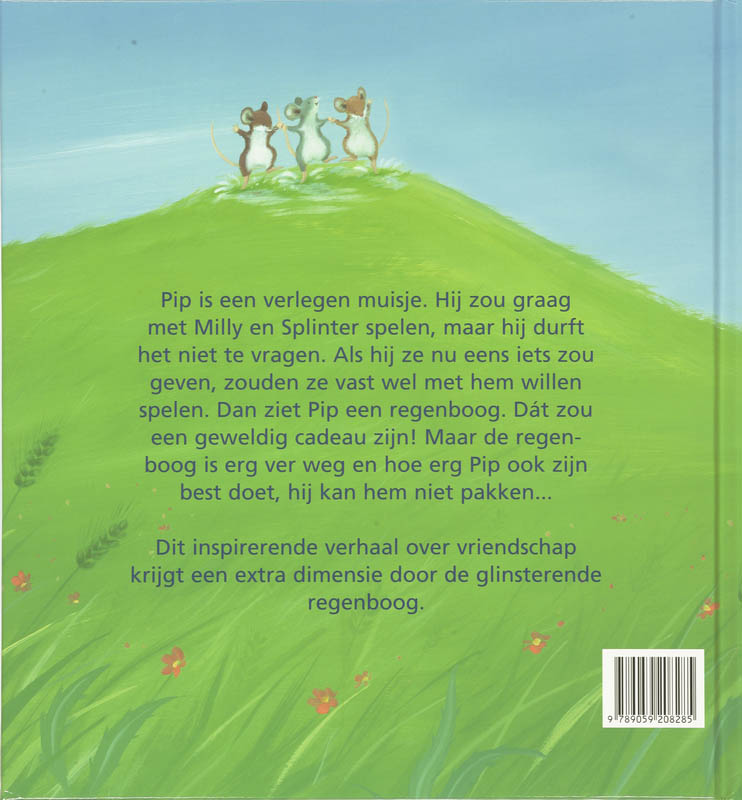 Kleine Pip En De Regenboog achterkant