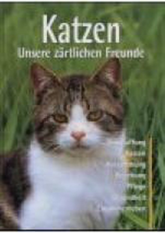 Antje Breuer Katten thumbnail
