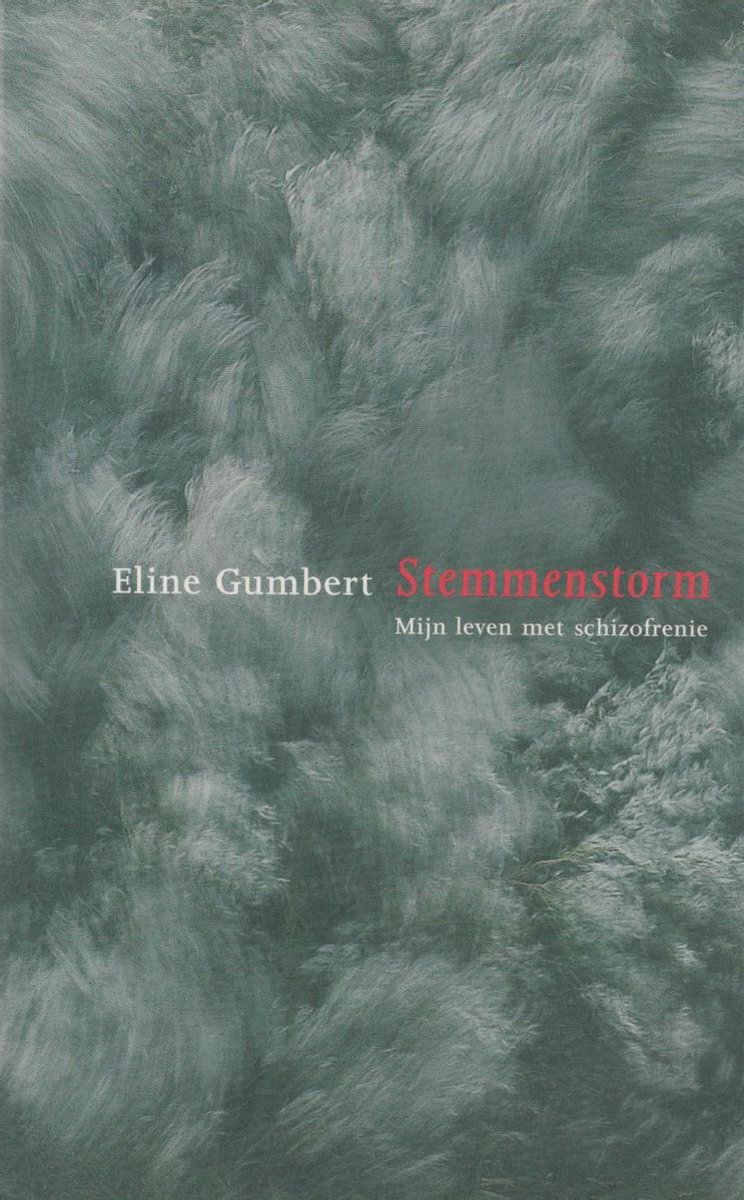 boekenbalie_9789035122451_cover Stemmenstorm
