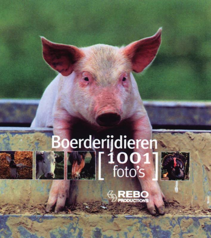 Kinderboeken Rebo - Boerderijdieren, 1001 foto's.