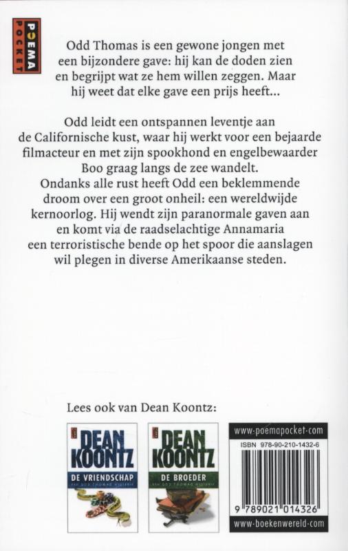 De ziener / Odd Thomas / 4 achterkant