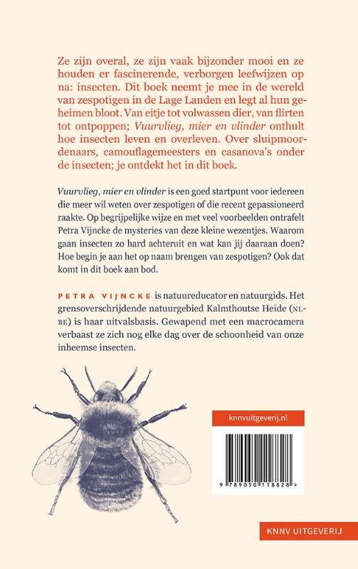 Vuurvlieg, mier en vlinder achterkant