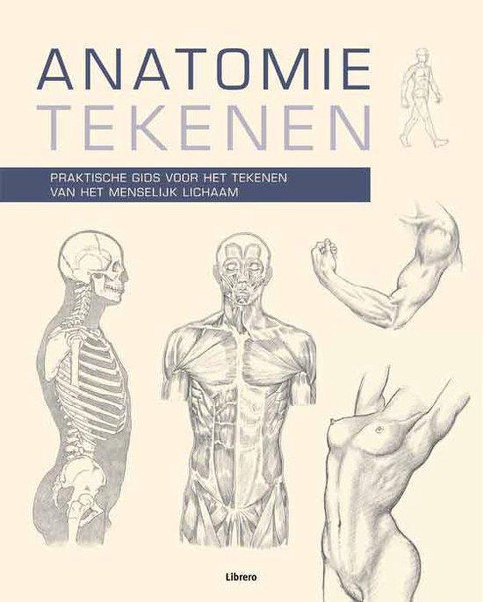 Anatomie tekenen