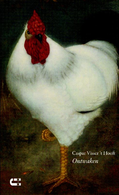 boekenbalie_9789086840465_cover Ontwaken