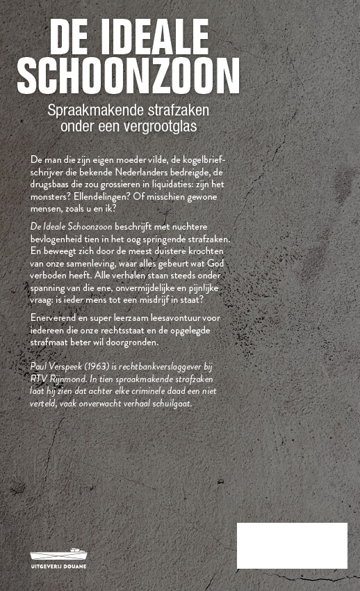 De Ideale Schoonzoon achterkant