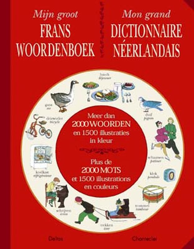 Mijn groot Frans woordenboek