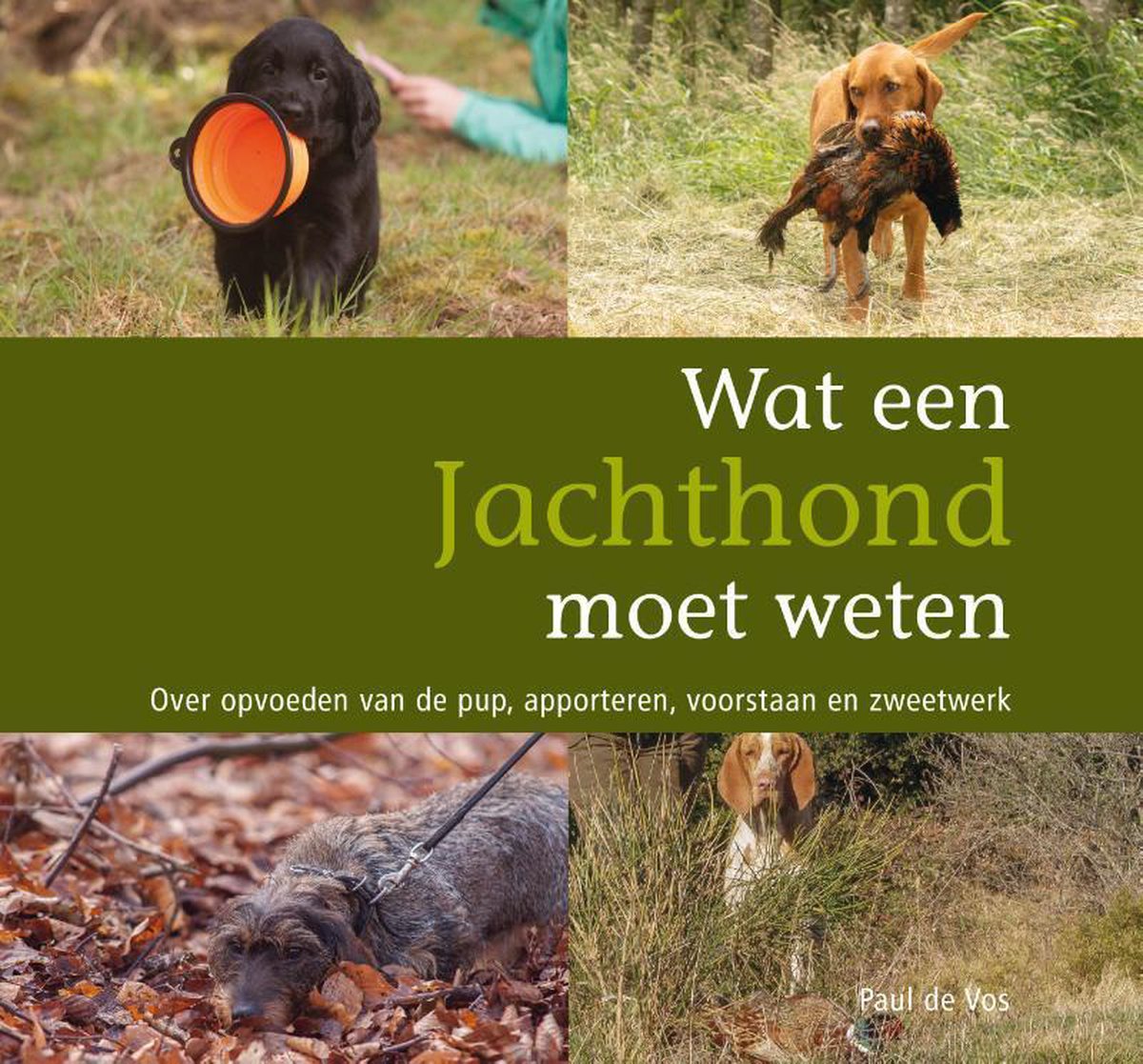boekenbalie_9789463012850_cover Wat een jachthond moet weten