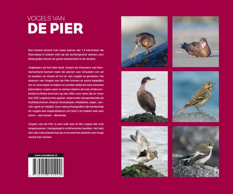 Vogels van de Pier achterkant