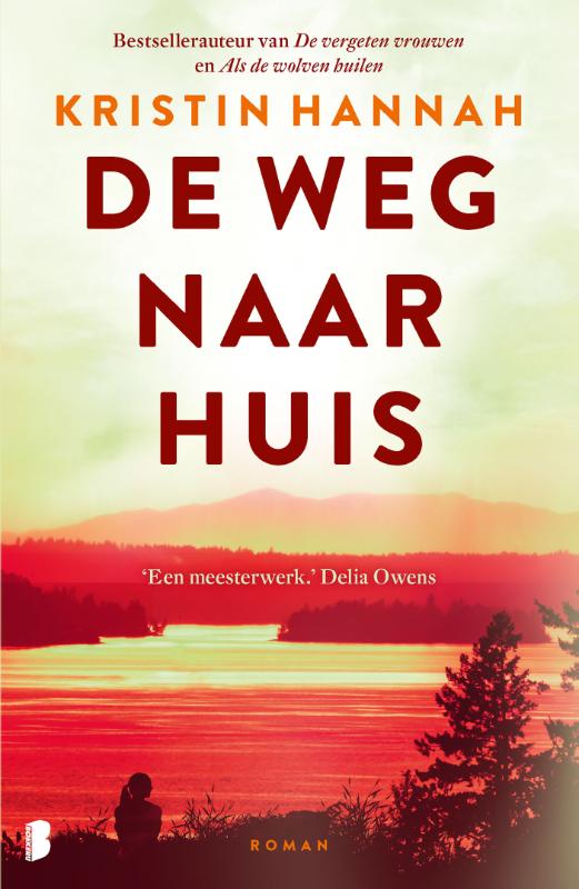 boekenbalie_9789049206093_cover De weg naar huis