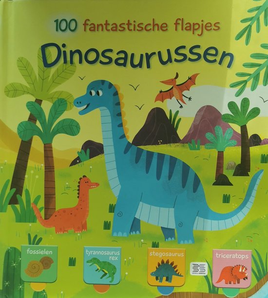 100 fantastische flapjes