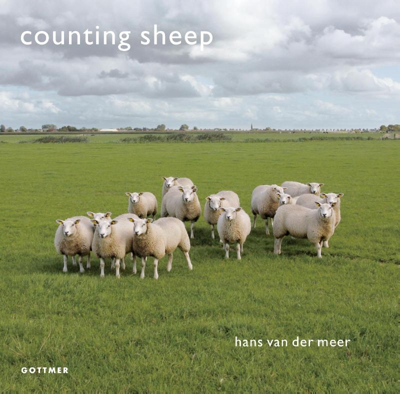 Counting sheep