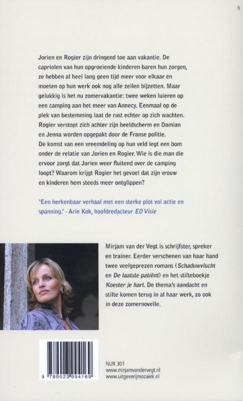 De zomer van de vreemdeling De zomer van de vreemdeling achterkant