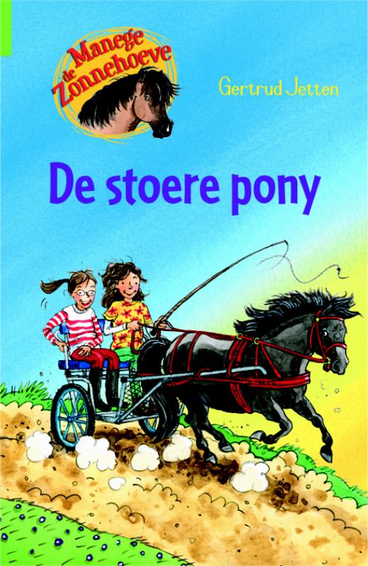 De stoere pony / Manege de Zonnehoeve