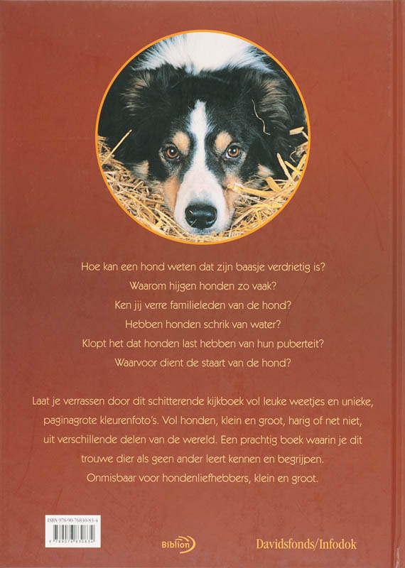 Het grote kijkboek / Honden achterkant