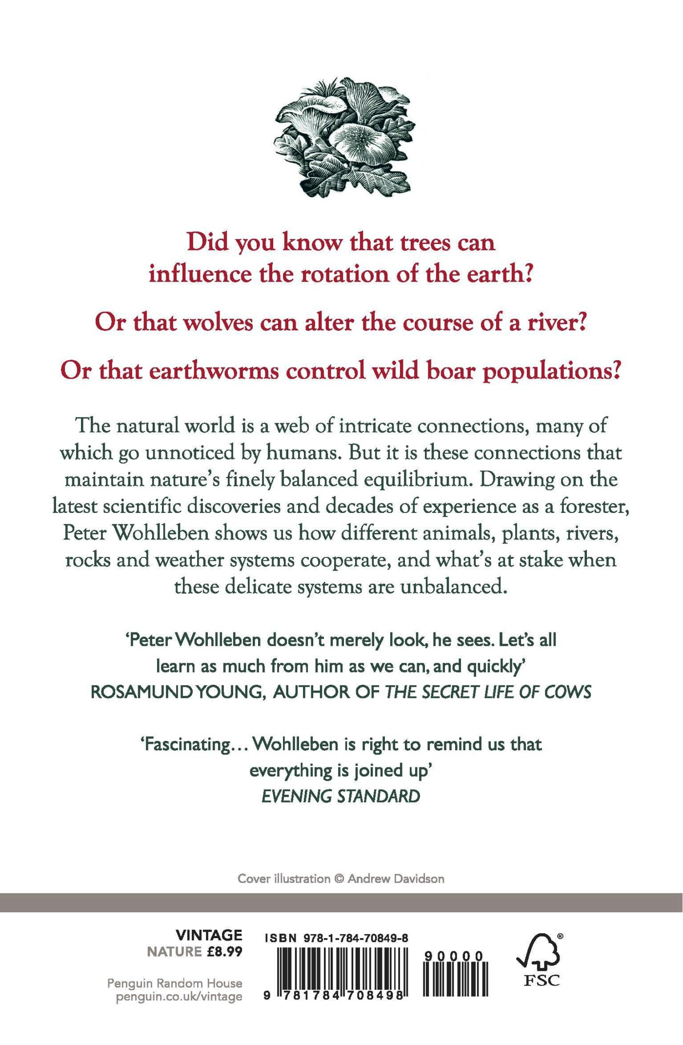 The Secret Network of Nature achterkant