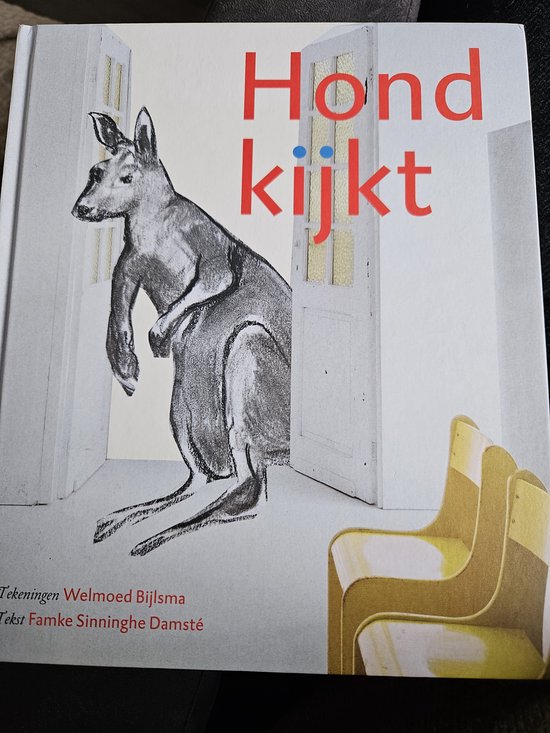 Hond kijkt