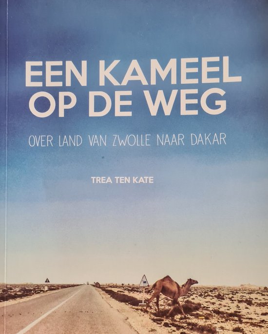 Een kameel op de weg