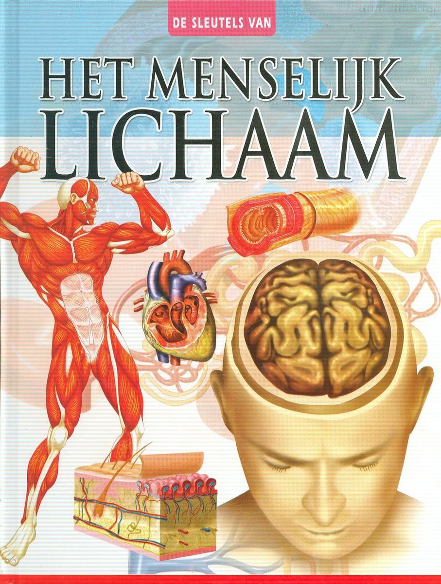 Het Menselijk Lichaam thumbnail