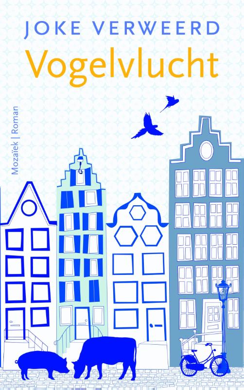 Joke Verweerd Vogelvlucht thumbnail