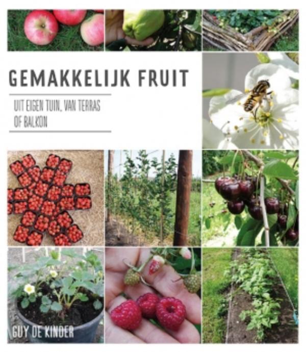 Gemakkelijk fruit