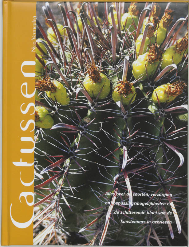 Cactussen
