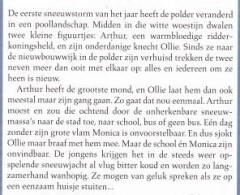 De sneeuwstorm achterkant
