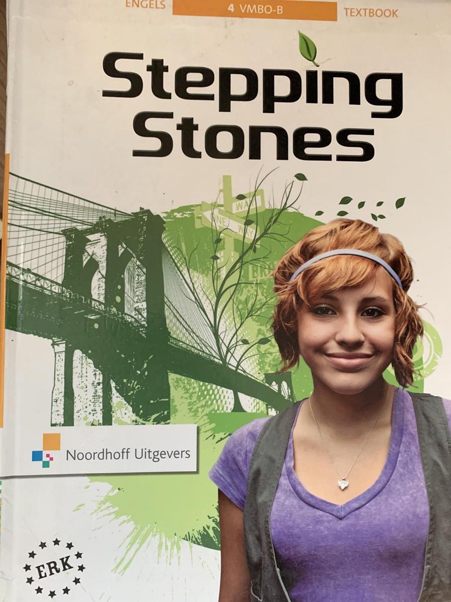 Stepping Stones 5e ed vmbo-basis 4 textbook