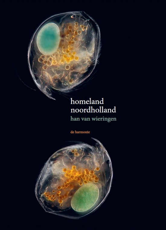 Homeland Noordholland