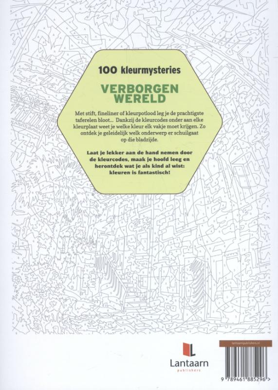 100 KLEURMYSTERIES : VERBORGEN WERELD achterkant