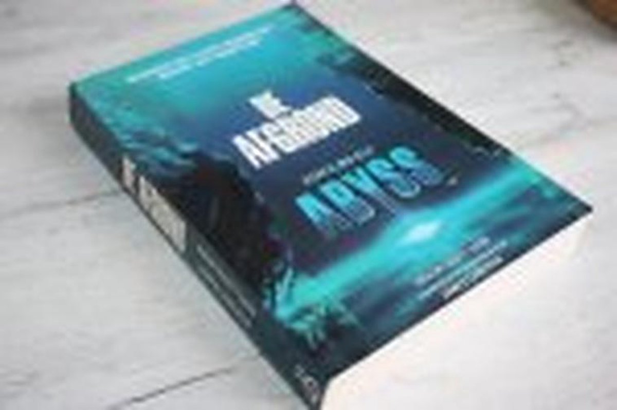 boekenbalie_9789022510490_cover De afgrond