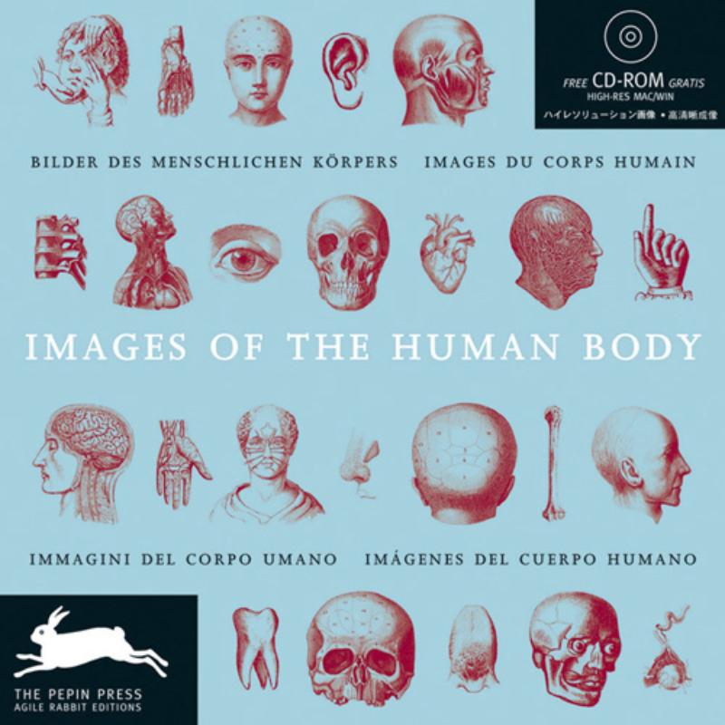 Images Of The Human Body