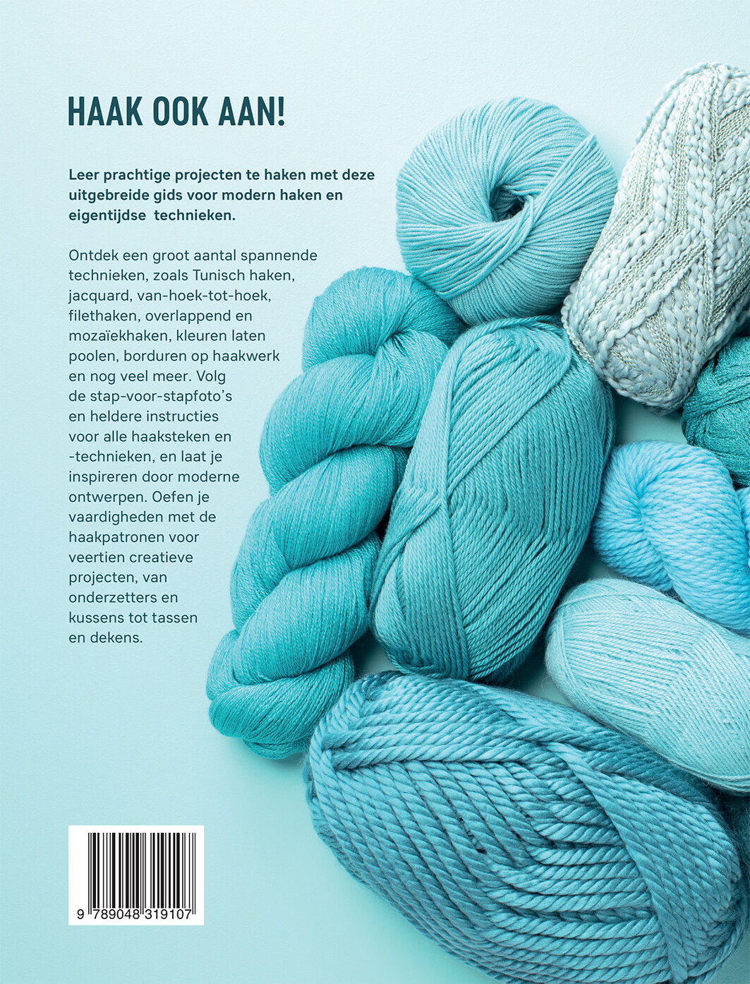 De moderne haakgids achterkant