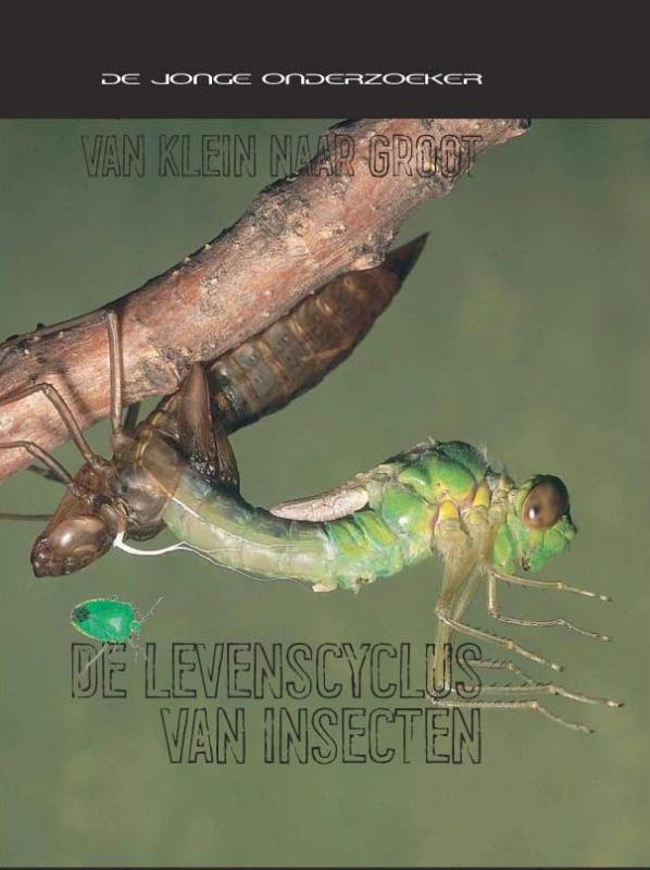 De levenscyclus van insecten / Van klein naar groot
