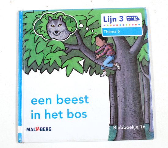 Lijn 3 / 16(thema 6 Het is feest) / Biebboekje