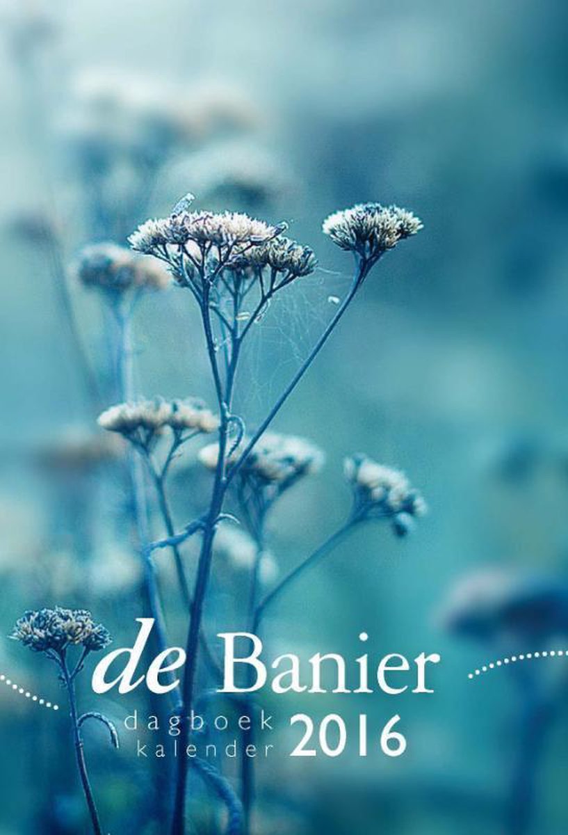 boekenbalie_9789462782273_cover Dagboekkalender 2016