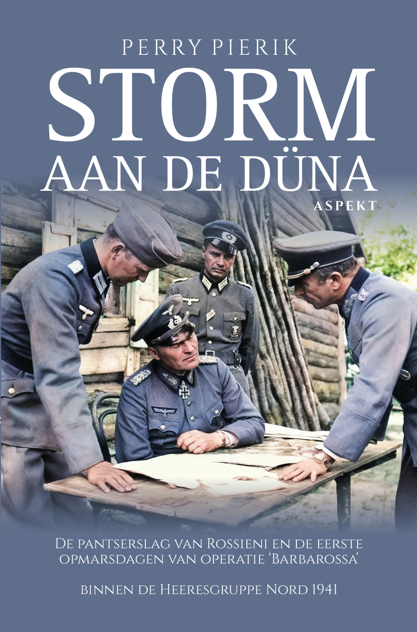 Perry Pierik Storm Aan De Düna thumbnail