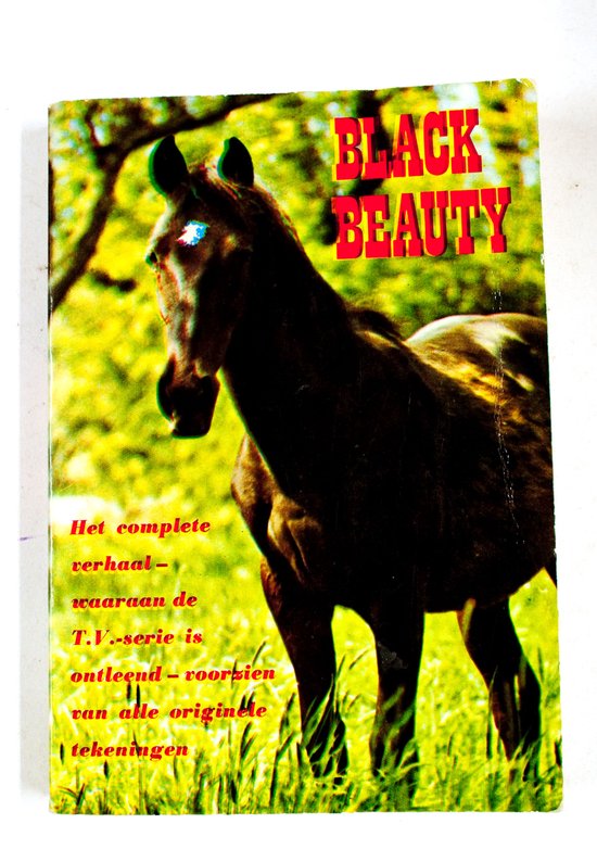 Sewell Black Beauty thumbnail