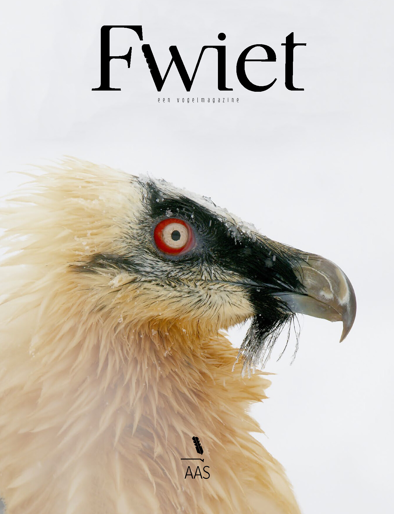 Fwiet - een vogelmagazine / Fwiet / 6