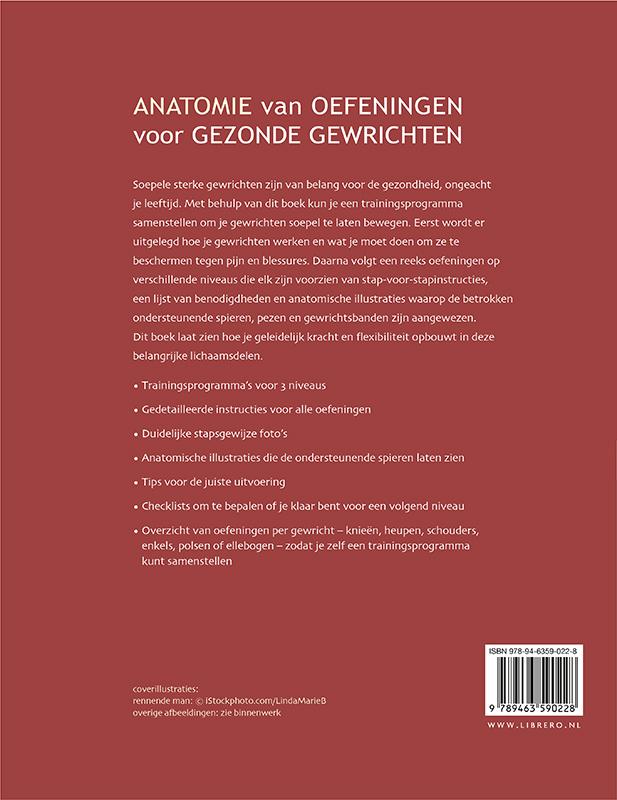 Anatomie van oefeningen voor gezonde gewrichten achterkant
