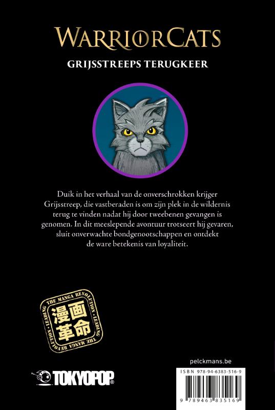 De verloren krijger / 1 Grijsstreeps terugkeer / Warrior Cats achterkant